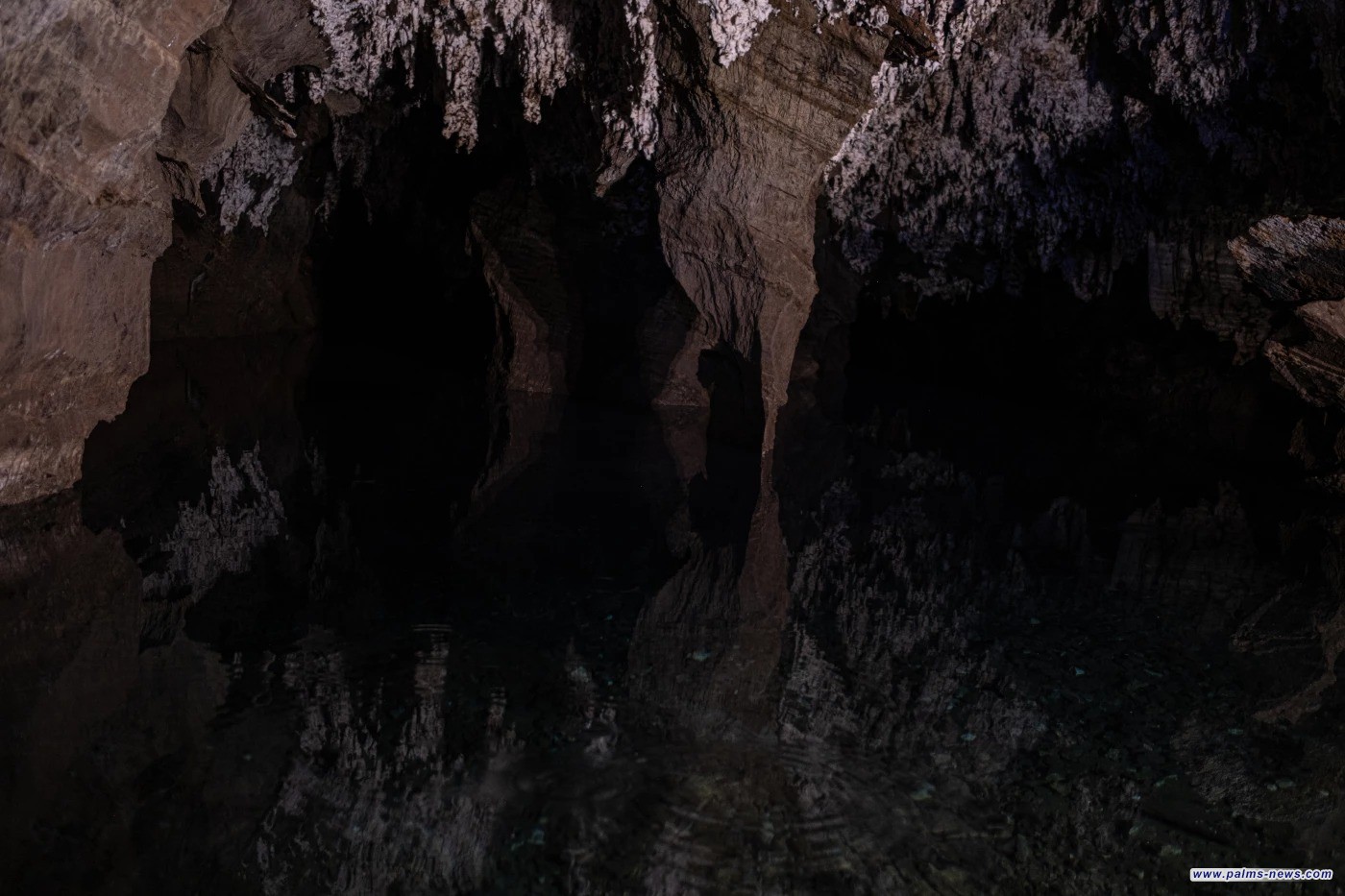 بعد إغلاق 3 سنوات.. إعادة افتتاح كهوف "مهد البشرية" أمام الزائرين في جنوب إفريقيا